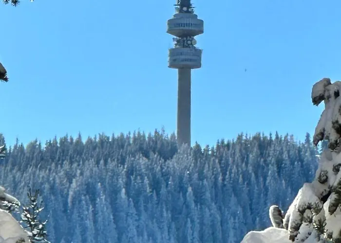 Elea Mountain Pamporovo